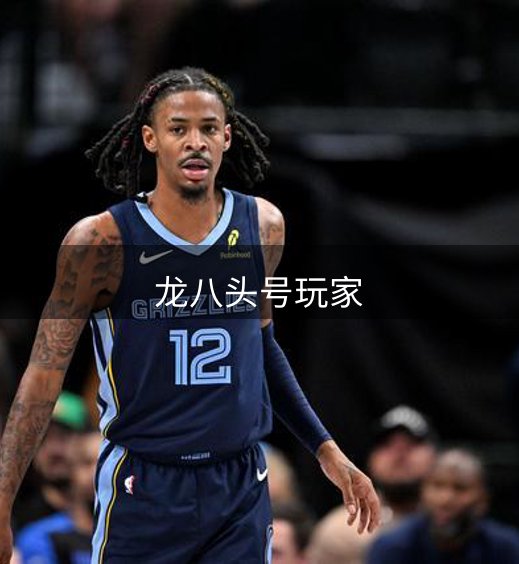 网站介绍